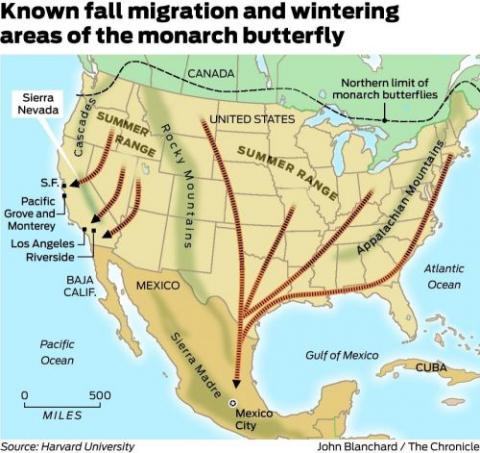 The Ultimate Relay Race: The Monarch Butterfly Story - The Migration Of 