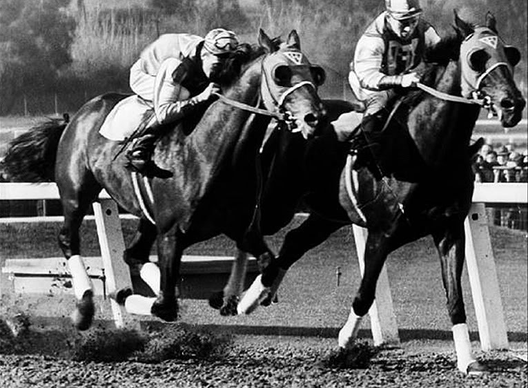 Seabiscuit won the Santa Anita Handicap, in 1940, with Red Pollard up. In this scene we see the Biscuit with Kayak II (also owned by the Howard family). Image online, courtesy Seabiscuit Heritage Foundation. PD