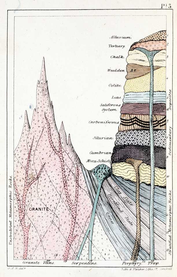 gideon mantell and the discovery of dinosaurs