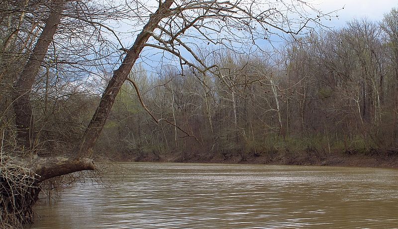 the-help-emmett-till-dies-in-mississippi