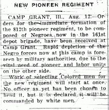 New Pioneer Regiment - Article