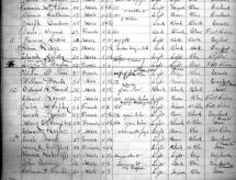 Police Log - Arrest Record of Lizzie Borden