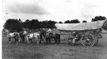 Six Horse Team Pulling a Conestoga Wagon