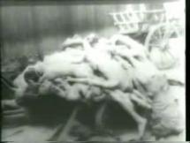 Nuremberg Trial Film - Nazi Concentration Camps, Pt 5