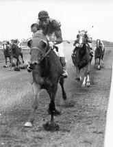 Racing Seabiscuit