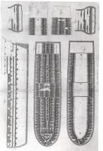 Layout of a Slave Ship