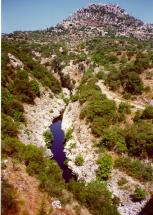 Alpheus River near Sanctuary of Zeus