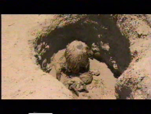 Nasca Civilation - Preserved Cahauchi Body