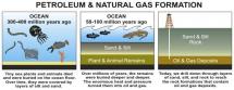Chemistry of Life - What Makes Oil?