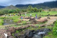 Traditional irrigation solutions by PLACES students at Ka‘ala Farms