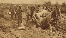 War Horse - Stuck in Flanders Mud