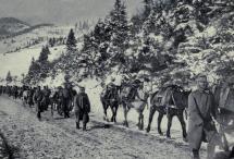 War Horse - Carrying Austrian Ammo to Front Lines