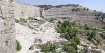 Mount of Olives - Ancient Cemetery