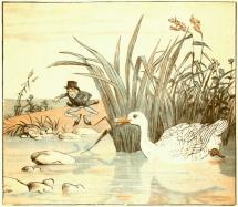 Caldecott Illustration - A Lily-White Duck