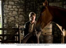 War Horse - Joey Takes the Harness