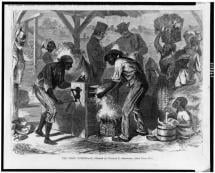 Working with the First Cotton Gin