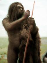 Neanderthal Hunter - American Museum of Natural History