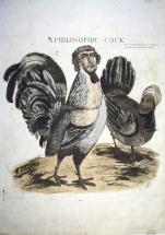Philosophic Cock - 1804 Attack Ad