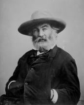 Walt Whitman - Photo Portrait