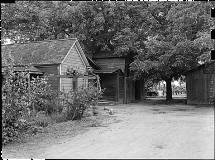 San Joaquin County Vineyard