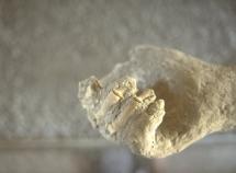 Pompeii Victim - Open Palm, Frozen in Time