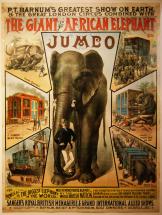 Jumbo the Circus Elephant and His Tragic Death