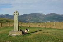 Herdwick Sheep - Gardeners of the Lake District