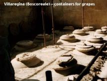 Grape Storage near Vesuvius