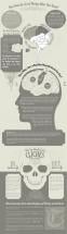 How the Act of Writing Affects the Brain