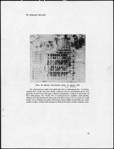 Holocaust Revisited: CIA Report, Page 19