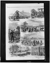 Slavery - Cotton Plantation Life