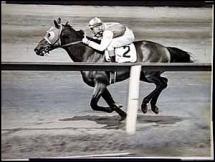 Seabiscuit at the Yonkers Handicap