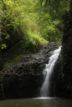 Maunawili Falls - The Descendants