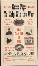 Poster: Raise Pigs to Help Win the War