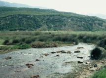 River Phoinix at Thermopylae
