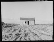 Childress County, Texas - Abandoned Farm