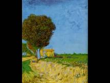 Modern Culture and Vincent van Gogh