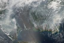 Burning Trees in Indonesia