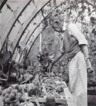 Leonard Woolf - Tending the Garden at Home