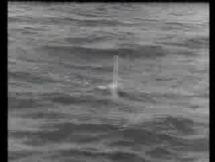 Historical Footage - The U-Boat Peril