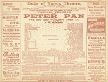 Peter Pan at Duke of York's Theatre