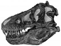 T. rex Jaws