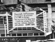 Spanish Flu - 
