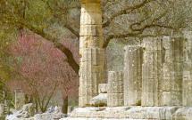 Sanctuary Dedicated to Hera at Altis