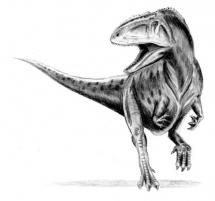 Giganotosaurus - Dinosaur with Serrated-Teeth