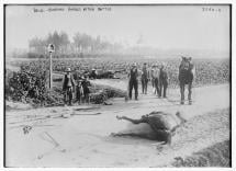 War Horse - Burials in Belgium