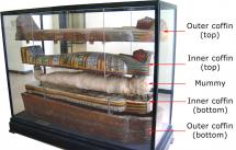 Egyptian Mummy - With Inner and Outer Coffin