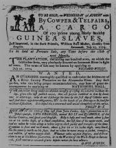 Notice of Sale - Chattel Slavery in the Americas
