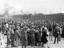 Jews and the Auschwitz-Birkenau Selection Process