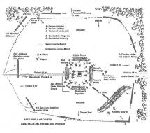 Battle of Coleto Diagram